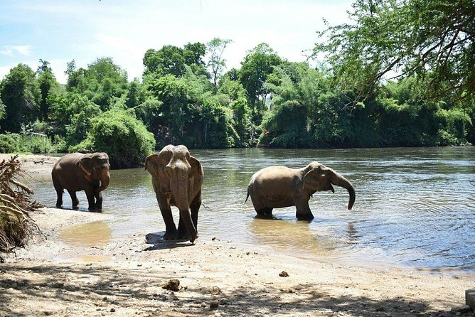 2 day 1 night Elephant World Kanchanaburi from Bangkok - The overnight Thai cottage: why the stay is more than just a bed