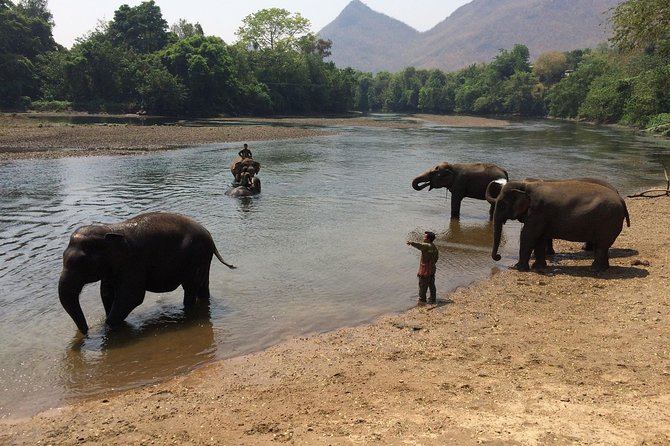 2 day 1 night Elephant World Kanchanaburi from Bangkok - Ethics check: what to consider when elephant bathing is part of the plan
