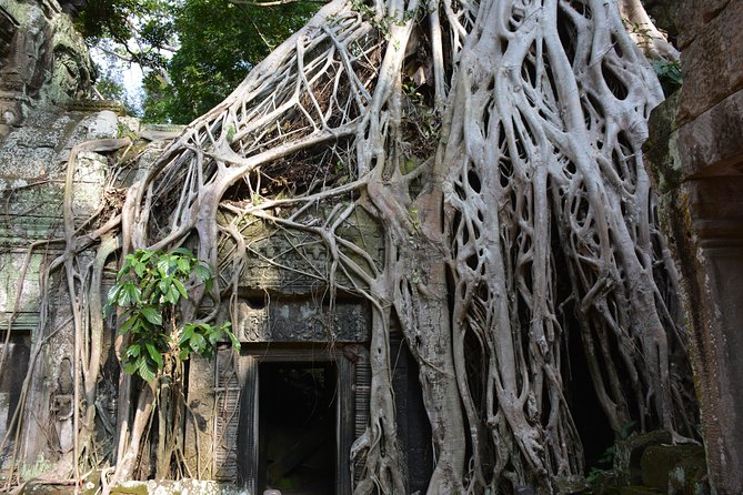 2-Day Angkor Wat Tour from Bangkok - Angkor Wat sunrise timing, then Bayon and Ta Prohm
