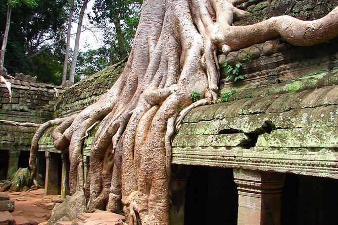 4 Days Expedition From Bangkok to Angkor Wat - Bangkok to Siem Reap in 4 days: the real value is the handholding