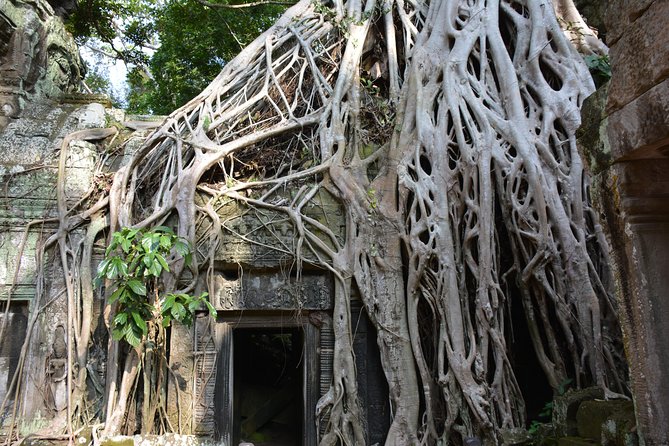 4 Days Expedition From Bangkok to Angkor Wat - Day 4 back to Thailand: time to trade temples for traffic