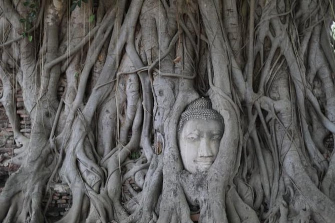 Afternoon Ayutthaya & Ancient Temples at UNESCO site By Road - Price and what you really get for $96.66