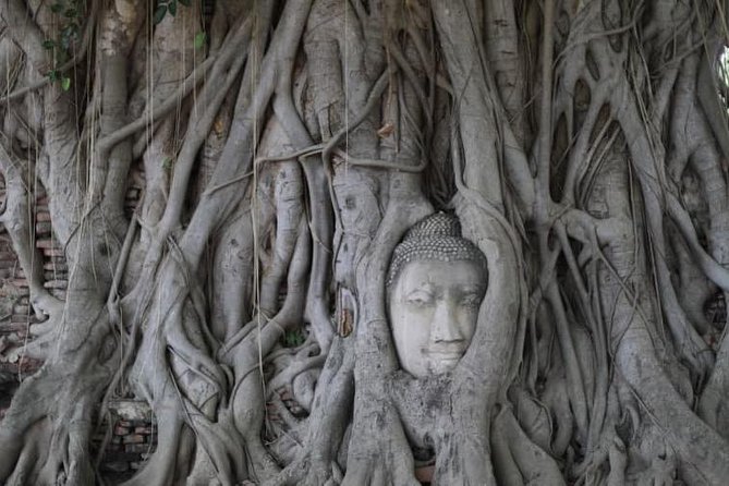 Afternoon Ayutthaya heritage site & River Boat Ride at Sunset - Wat Mahathat: the tree-root Buddha moment that people travel for