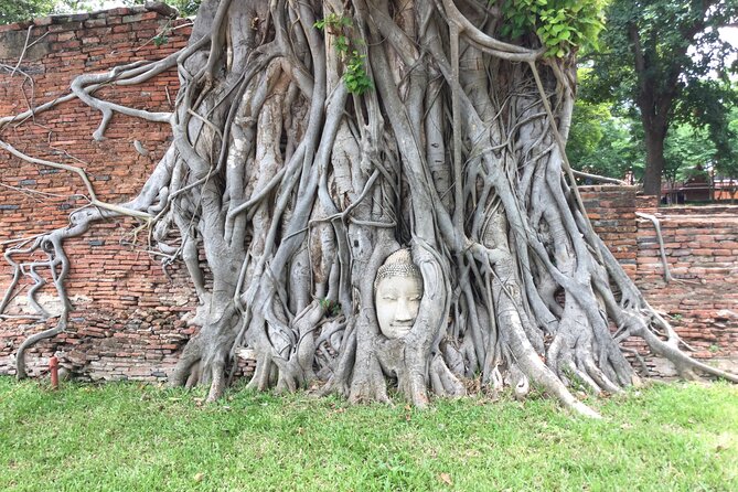 Ayuthaya Must Visit Temples Tour from Bangkok by MyProGuide - Stop 4: Wat Mahathat and the Buddha Encased in a Tree