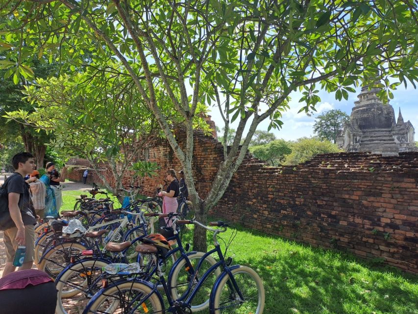 Ayutthaya City and Historical Park Bike Tour - Price and Value: What $47 Actually Buys You