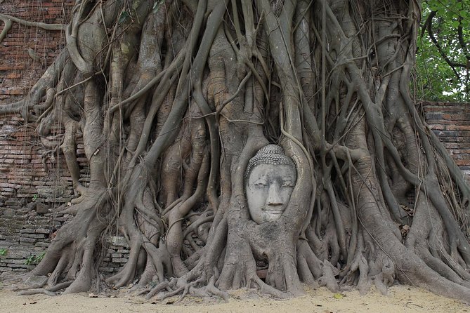 Ayutthaya Day Tour By Coach and Cruise - The river portion and lunch: Pasak to Chao Phraya, with food built in