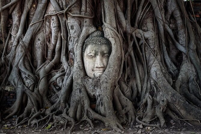 Ayutthaya Eco Friendly Bike Tour Famous Landmarks & Cultural Gems - Why cycling Ayutthaya feels more real than coach hopping