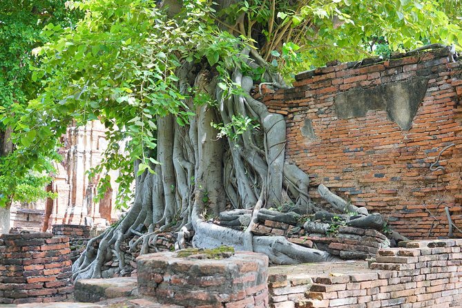 Ayutthaya Evening Tour with Dinner - Elephant Kraal Pavilion (Phaniat) Stop at Km 42-43