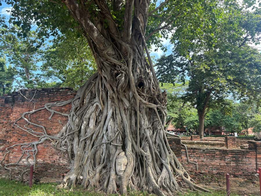 Ayutthaya Full-Day Tour with Bang Pa In (Summer Palace) - Should You Book This Ayutthaya and Bang Pa In Day Tour?