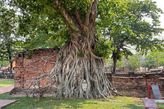 Ayutthaya Historical Old Capital day Tour from Bangkok - Wat Lokaya Sutha: the 42 meter reclining Buddha