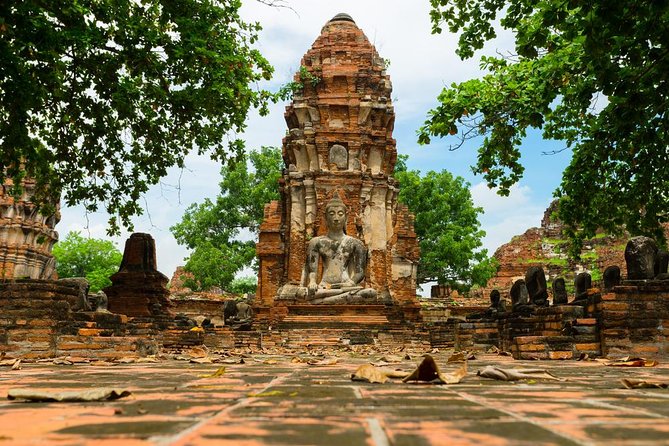 Ayutthaya Temples and Ayothaya Floating Market From Bangkok - The elephant rides question: what to do with Elephant Village stops