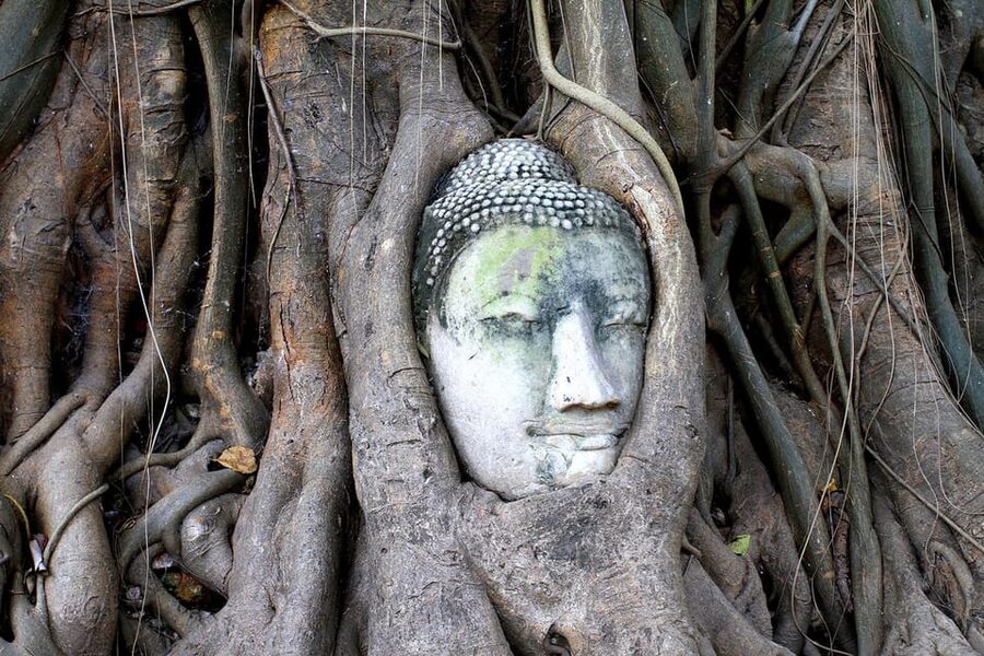 Bangkok: Audio guides for Bangkok, Ayutthaya & Chiang Mai - Ayutthaya: Bang Pa-In Summer Palace, Wat Mahathat, and the “Why” Behind the Ruins