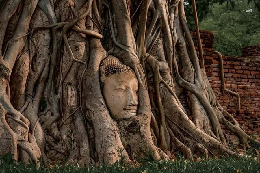 Bangkok: Ayutthaya 3 Historic Attractions Private Day Tour - Who This Tour Fits Best (and Who Might Skip It)