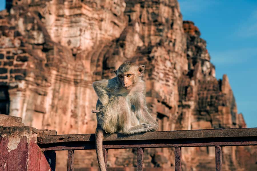 Bangkok: Ayutthaya & Lopburi Monkey Temple Private Day Trip - Ayutthaya and Lopburi in one private day, without the stress