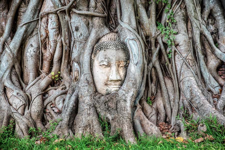 Bangkok: Ayutthaya & Lopburi Monkey Temple Private Day Trip - Lopburi free time: how to use it without losing the plot