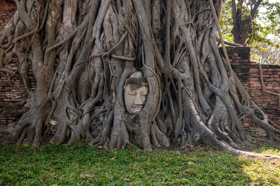Bangkok: Ayutthaya, Railway & Floating Markets Full-Day Tour - What to bring (so you do not suffer for photos)