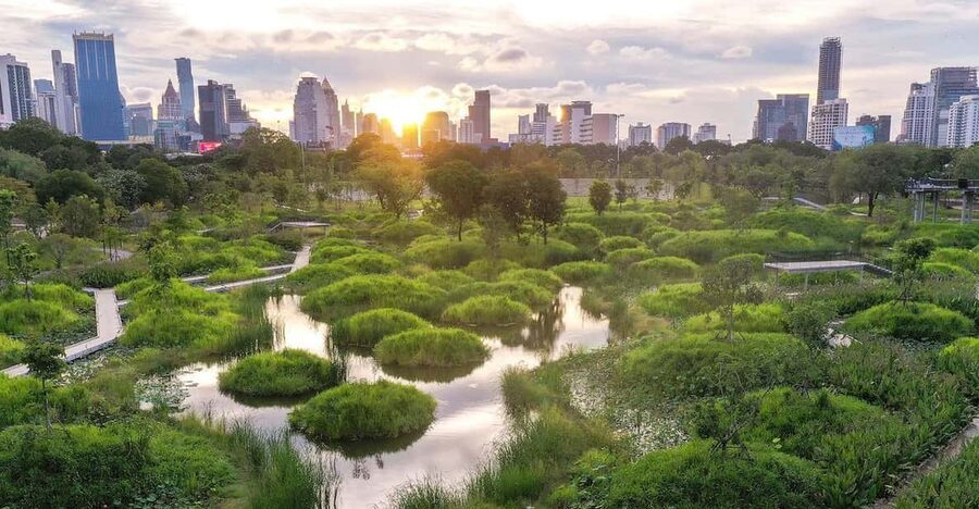 Bangkok Bicycle rental Benjakitti Park - Key Highlights That Make This Ride Worth It