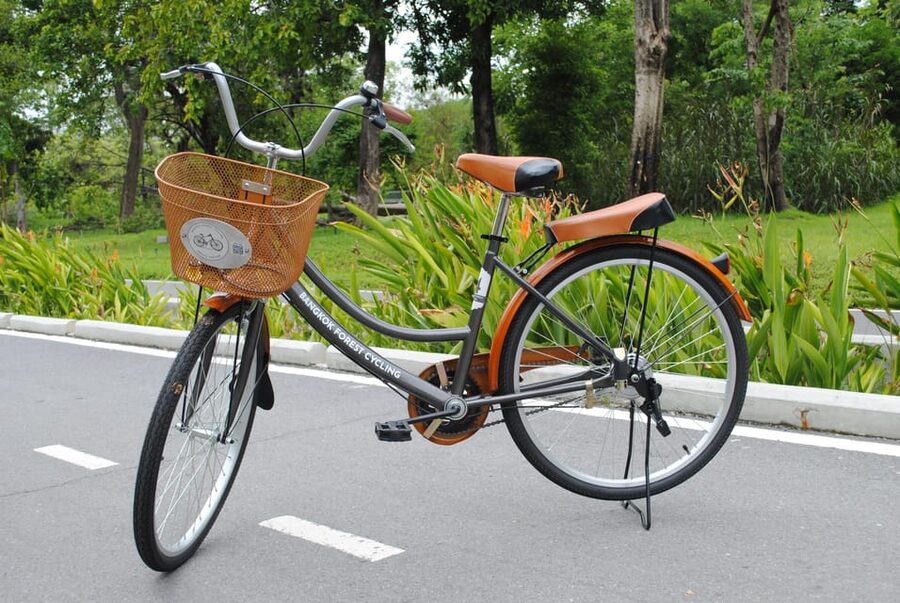 Bangkok Bicycle rental Benjakitti Park - What You Actually Do During the 2 Hours