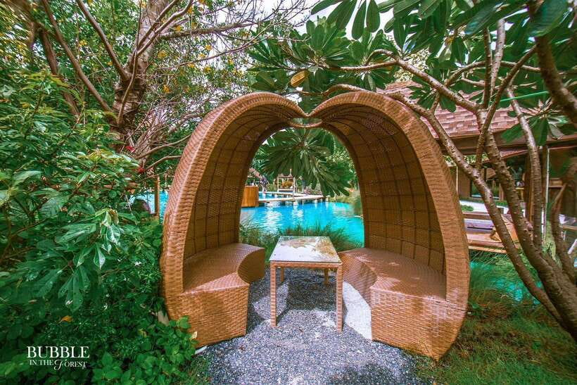 Bangkok: Bubble in the Forest Cafe Food Packages - Who Should Book This Café Package