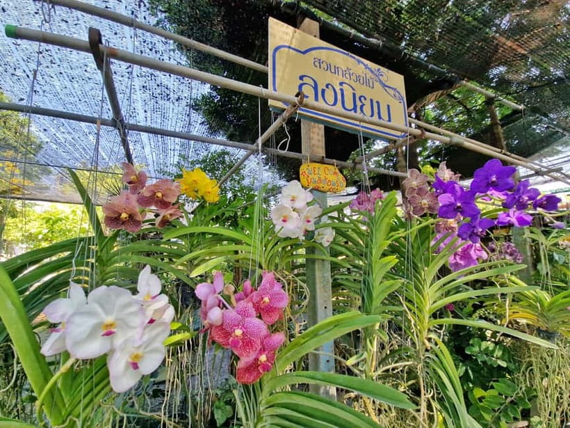 Bangkok Canals Hop-On Hop-Off Boat Tour - Key highlights worth your time