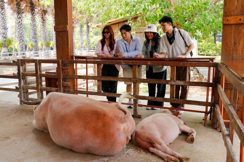 Bangkok: Damnoen Saduak and Train Market with Boat Ride - Lao Tuk Luck floating market stop: quick photo, local flavor