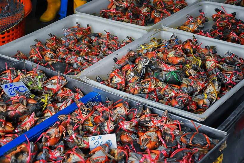 Bangkok: Damnoen Saduak Market and Maeklong Railway Market - Best for who, and not great for who