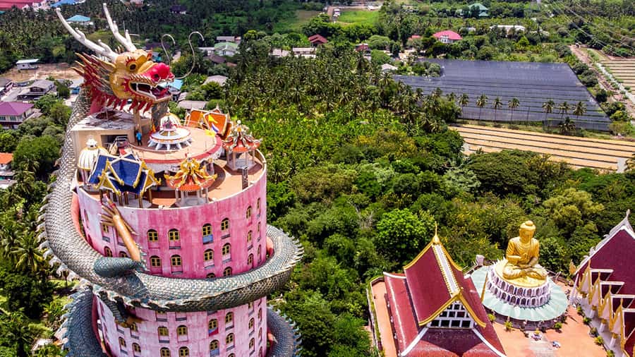 Bangkok: Dragon Temple, Roots Temple and Amphawa in spanish - Wat Samphran Dragon Temple: The 17-Story Dragon You Can Spot From Anywhere