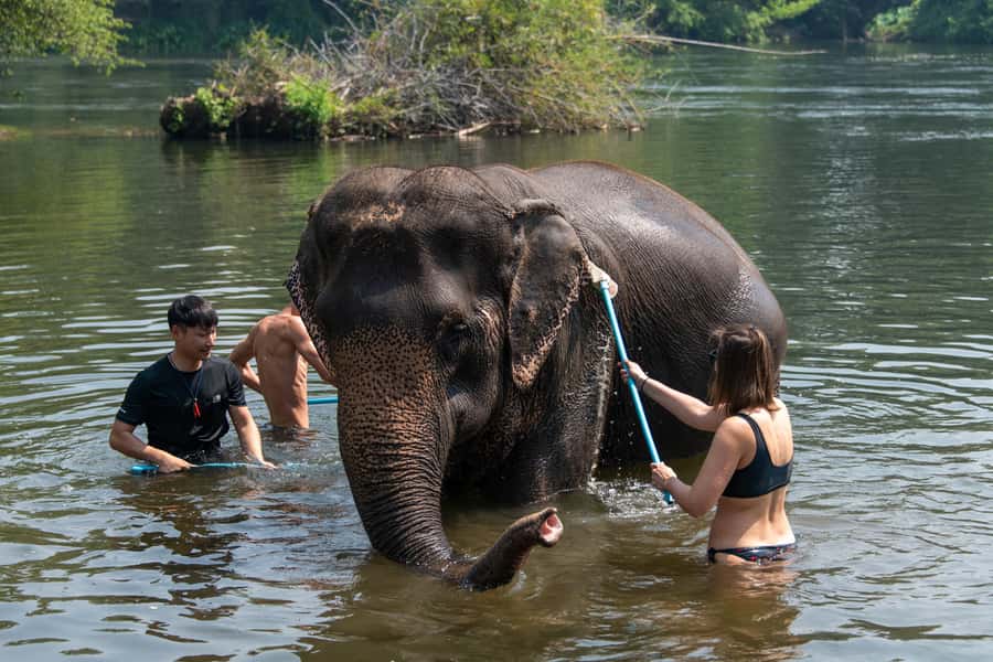 Bangkok: Elephant Sanctuary & Erawan Waterfall Tour - Key Points Worth Knowing Before You Go