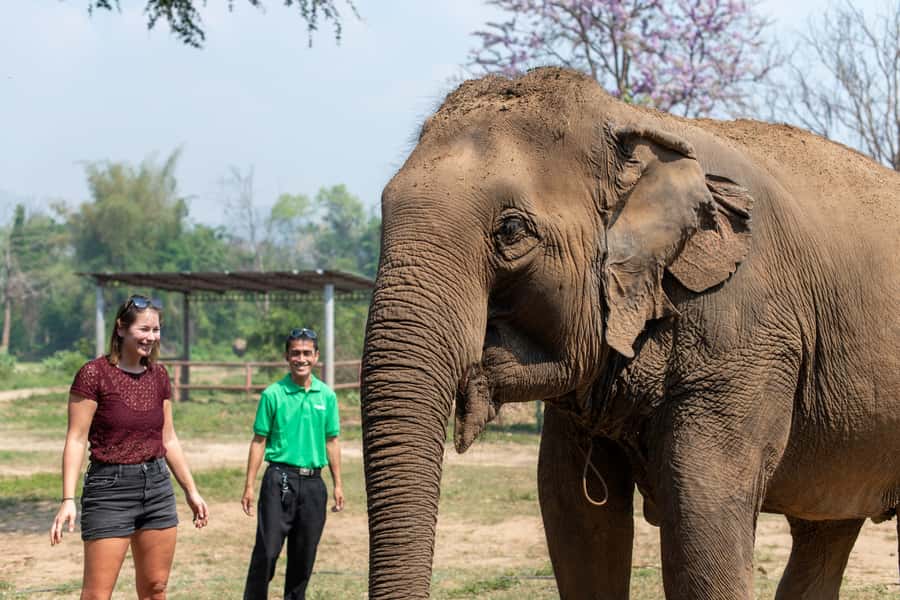 Bangkok: Elephant Sanctuary & Erawan Waterfall Tour - Price and Value: Why $181 Can Make Sense for This Combo Tour
