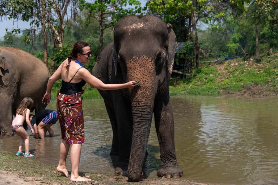 Bangkok: Elephant Sanctuary & Erawan Waterfall Tour - ElephantsWorld in Kanchanaburi: What You Actually Do With the Giants