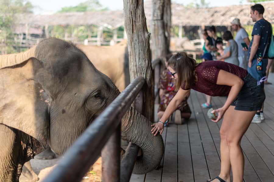 Bangkok: Elephant Sanctuary & Erawan Waterfall Tour - The Mud Bath and River Rinse: Fun, Messy, and Very Memorable