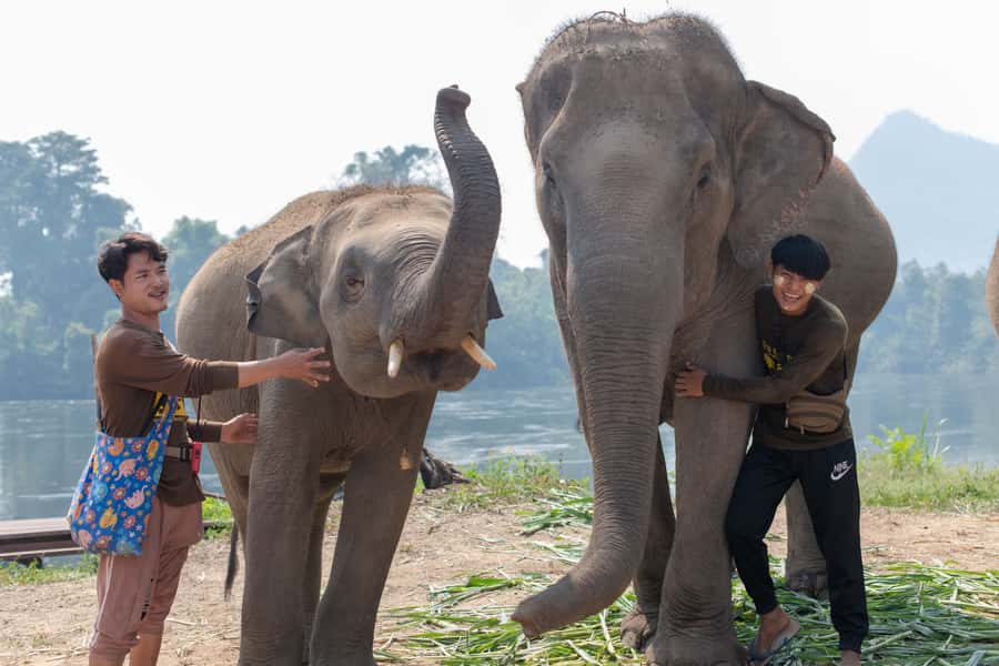 Bangkok: Elephant Sanctuary & Erawan Waterfall Tour - Timing Reality Check: How to Get the Most Out of a 12-Hour Day