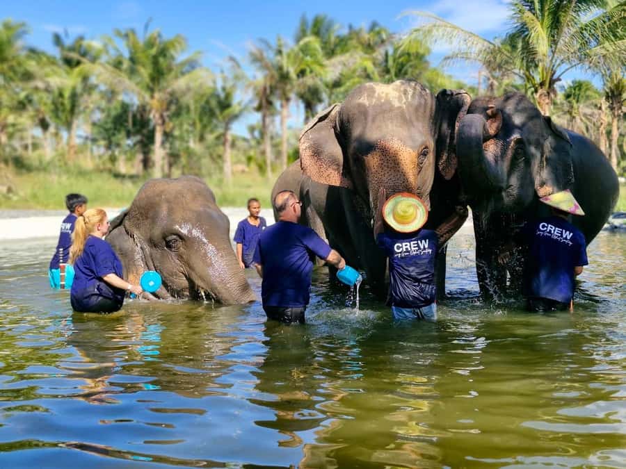 Bangkok: Elephant Sanctuary &Khao Kheow Open Zoo (Moodeng) - Key Things To Know Before You Go
