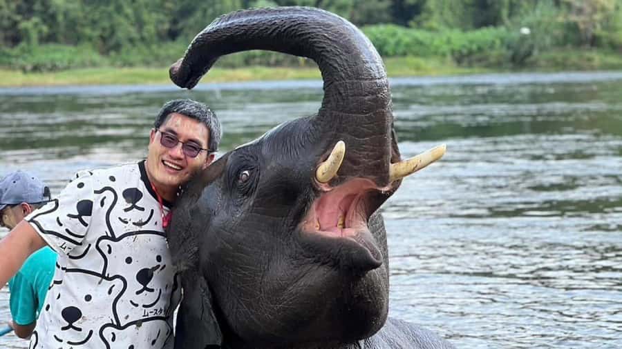 Bangkok: Elephants World & Erawan Waterfall in Kanchanaburi - Erawan Waterfall: swim time at a 7-tier star