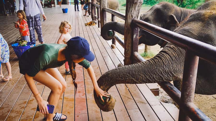 Bangkok: Elephants World & Erawan Waterfall in Kanchanaburi - Tips to enjoy the elephant and waterfall portions more
