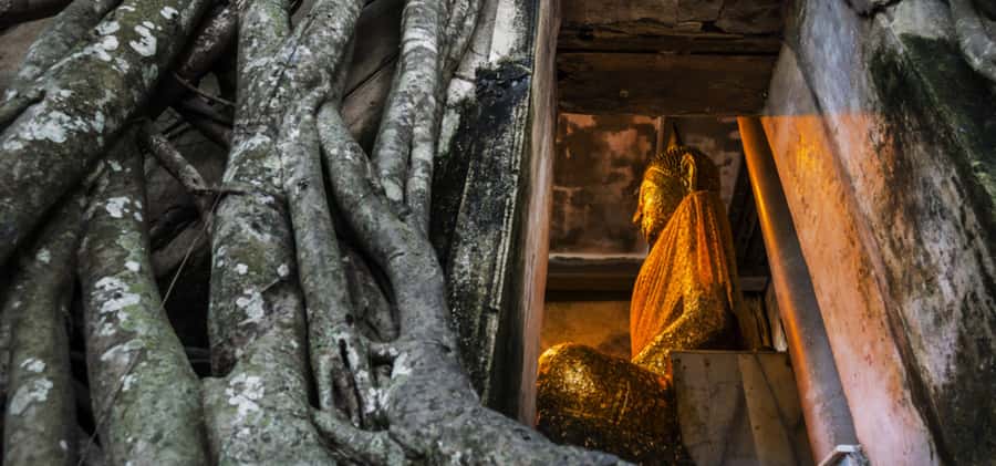 Bangkok: Floating & Maeklong Markets Tour by Private Charter - Wat Bang Kung and Wat Chulamanee: calm pauses in a market-heavy day