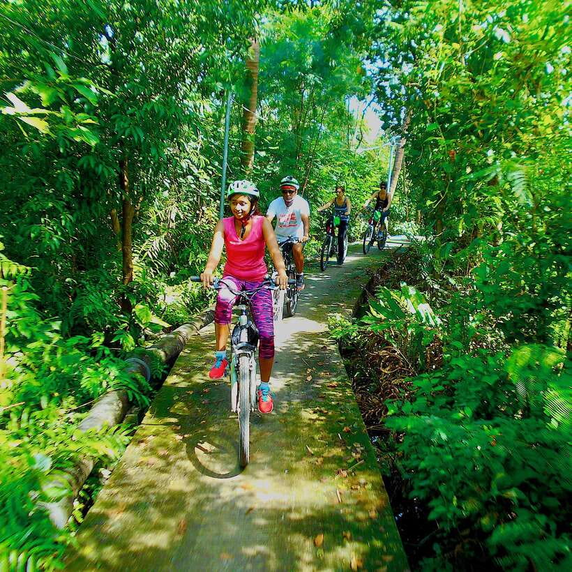 Bangkok green oasis guided bike tour with boat ride - Cycling through quiet roads and narrow paths without feeling rushed