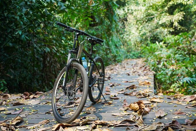 Bangkok Green Oasis Nature Bike Tour - Group size, guide attention, and how the route stays fun