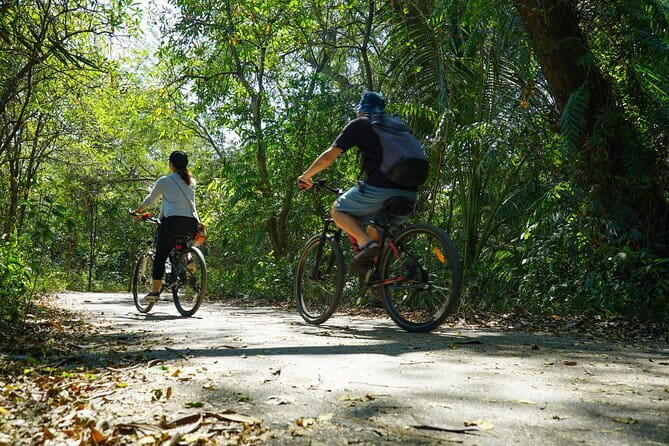 Bangkok Green Oasis Nature Bike Tour - Stop 1 on the Chao Phraya River: bike time and first nature cues