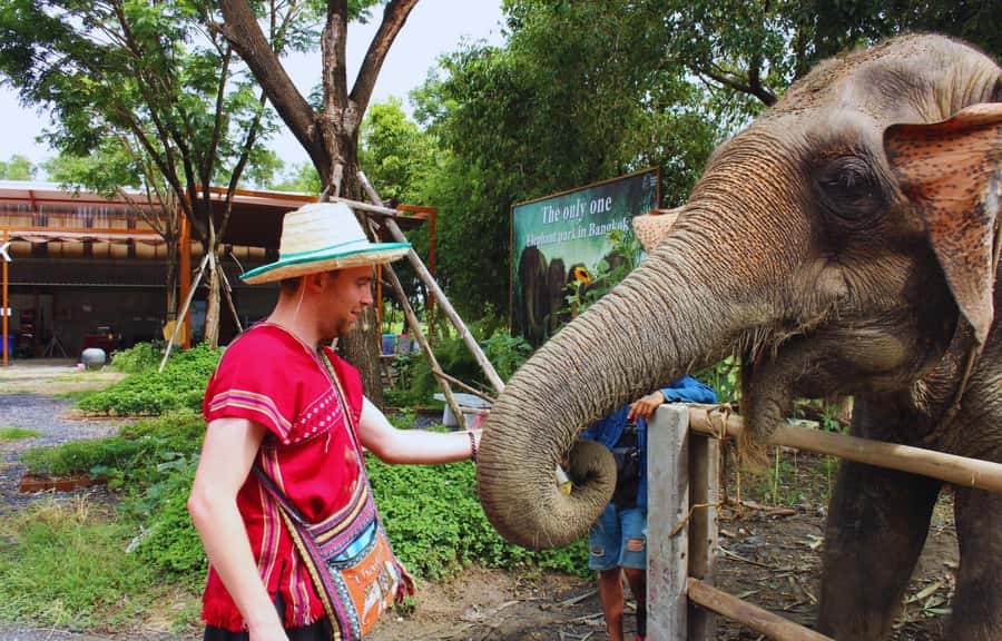 Bangkok Highlights: Ethical Elephant Care and Buffet Lunch - The big idea: an ethical elephant day trip near Bangkok