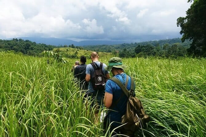 Bangkok: Khao Yai Nature Trails & Heaw Suwat Waterfall - Key Highlights You Will Care About