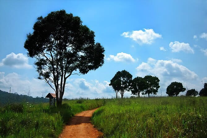 Bangkok: Khao Yai Nature Trails & Heaw Suwat Waterfall - Visitor Center and Scenic Stops: Getting Context Without Losing Time