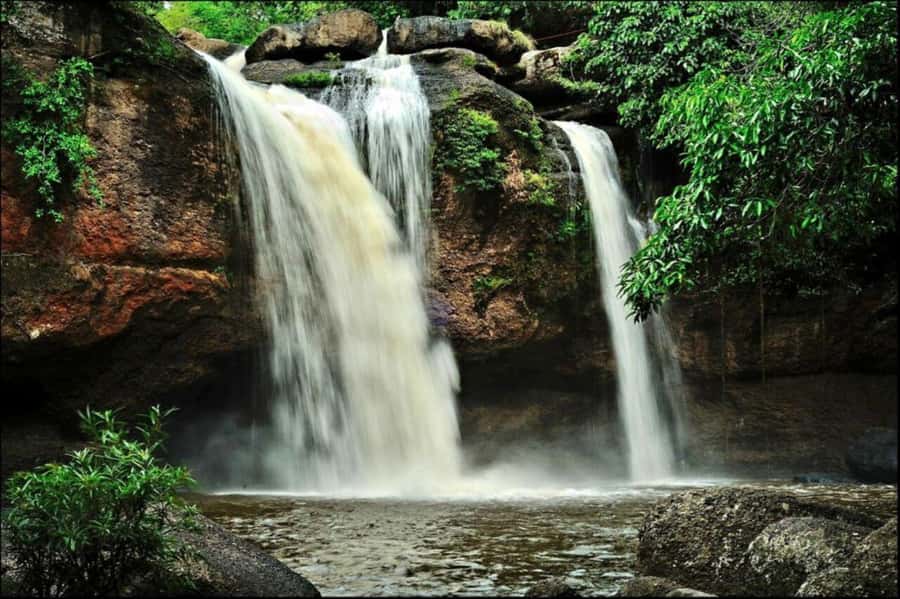 Bangkok: Khao Yai Nature Trails & Heaw Suwat Waterfall - Wildlife Odds: How This Route Improves Your Chances