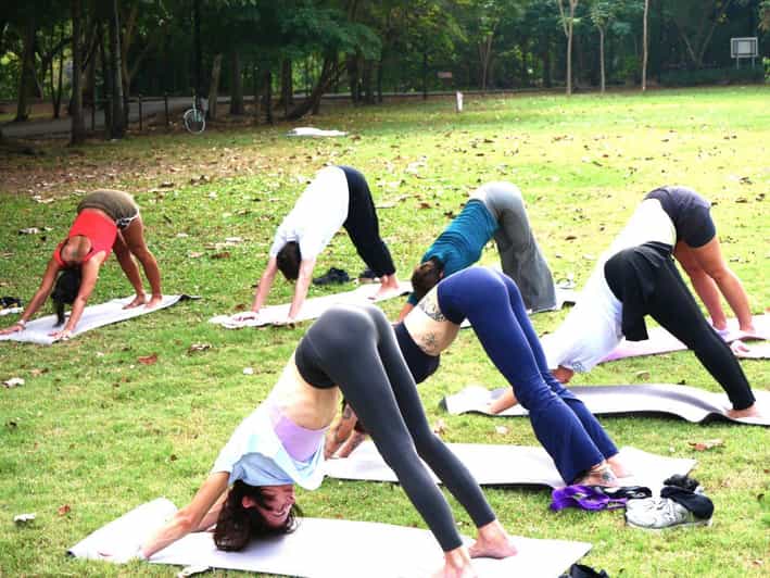 Bangkok: Lumpini Park Yoga Experience - The 75 Minutes: Yoga Flow, Breathwork, and Park Breaks