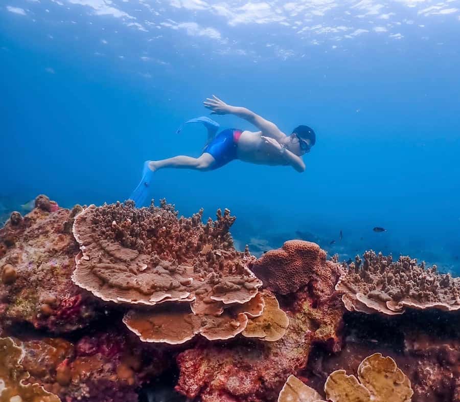 Bangkok: Nemo Island Day Trip with Drone Photos and Lunch - What to bring, what to skip, and who should sit this one out