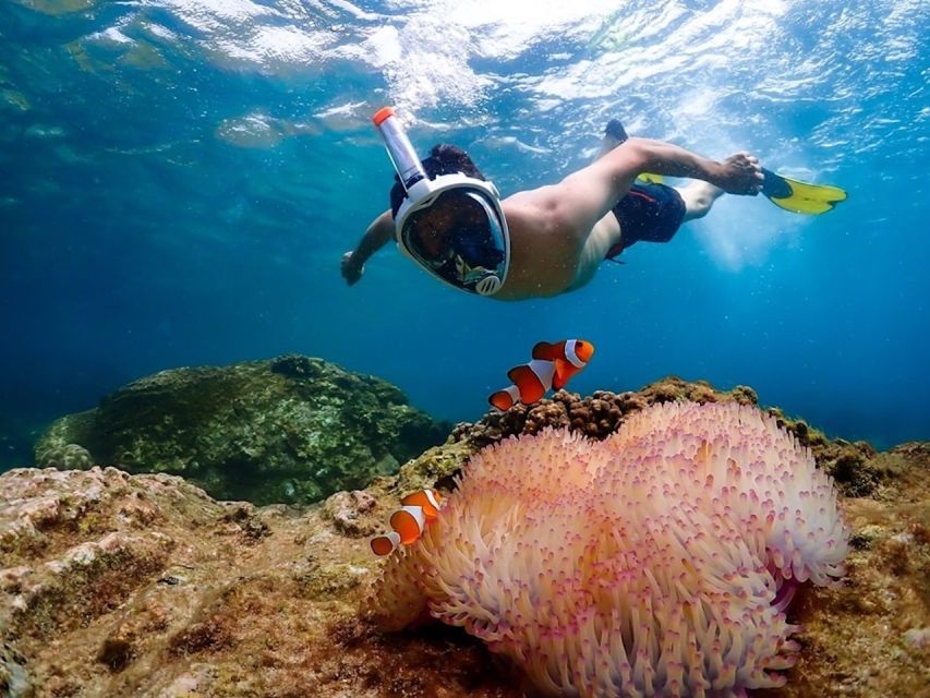 Bangkok: Nemo Island Day Trip with Drone Photos and Lunch - Unlimited suboard time: when you want to slow down