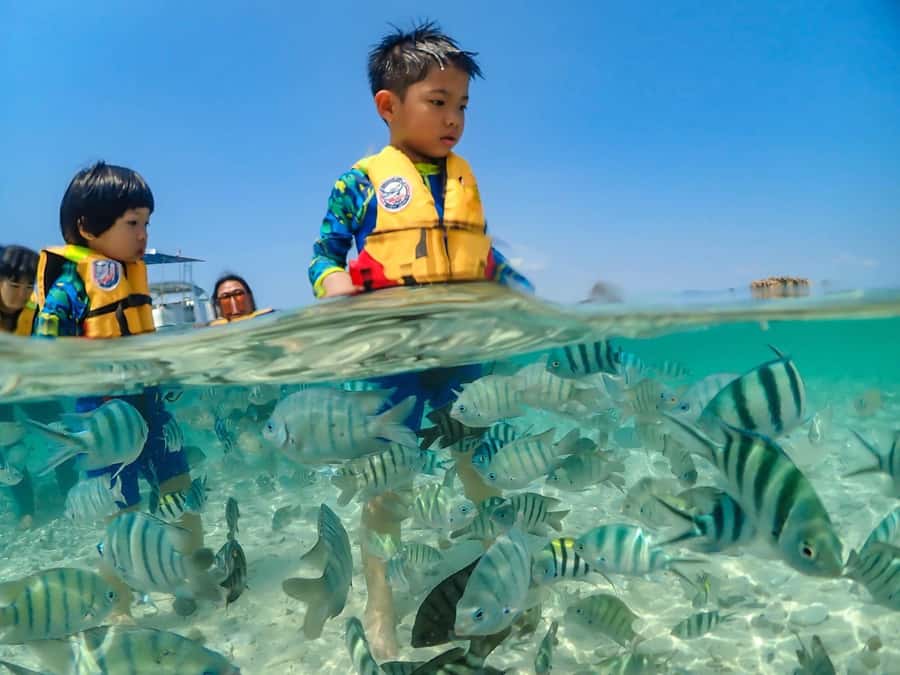Bangkok: Nemo Island Day Trip with Drone Photos and Lunch - The photo and drone package: how you get the keepsakes