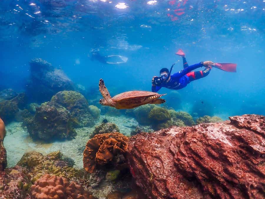 Bangkok: Nemo Island Day Trip with Drone Photos and Lunch - Lunch by the sea: simple food after a long swim