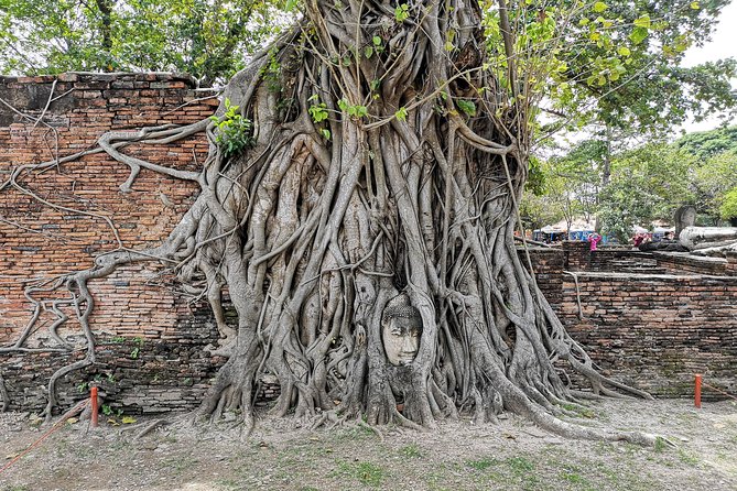Bangkok: Private Ayutthaya and Bang Pa-In Summer Palace Tour - Stop One in Ayutthaya: Wat Mahathat’s Tree-Root Drama