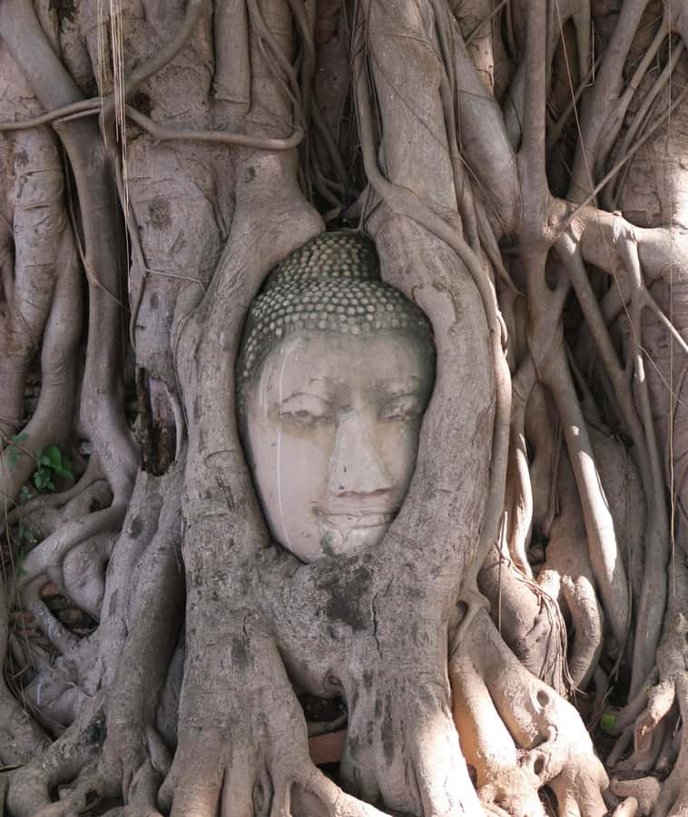 Bangkok: Private Ayutthaya UNESCO Heritage Tour - Ayutthaya from Bangkok feels like a time machine, not a checklist